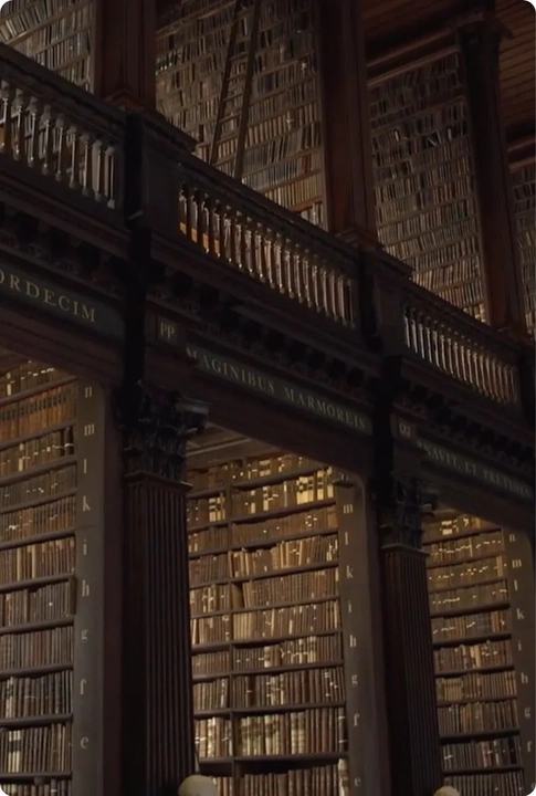 close up of section in old library trinity college