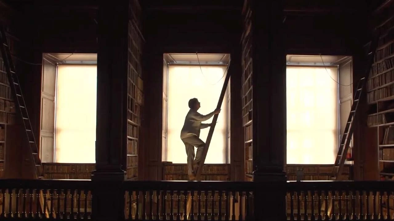 person climbing a ladder in a dark library